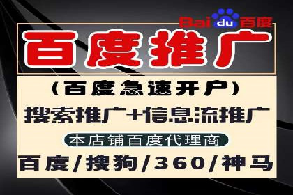 关键词竞价排名策略案例分析